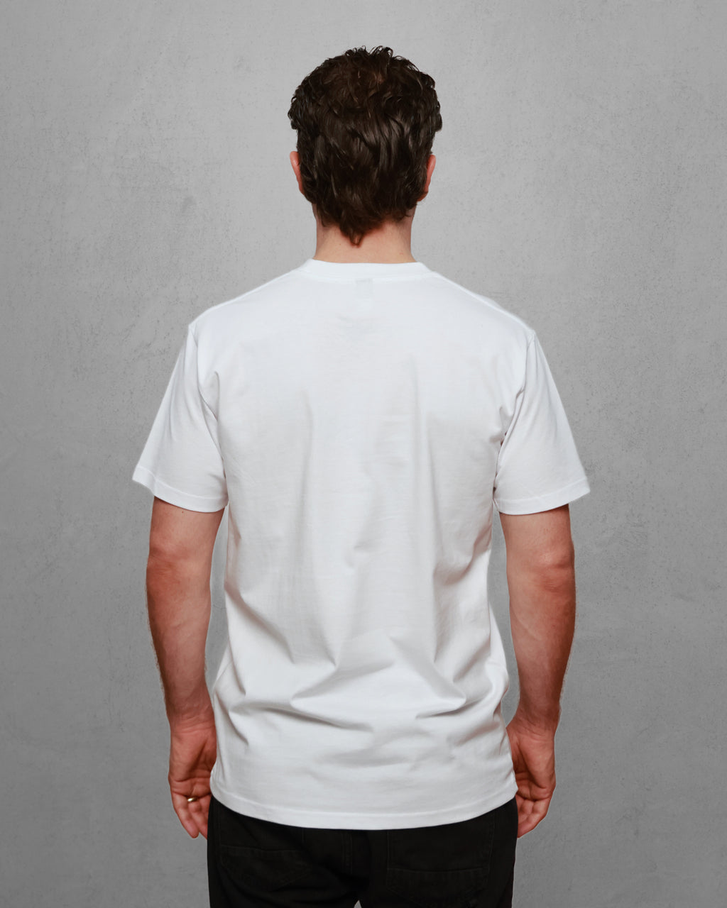 Wired Wren Mens Tee