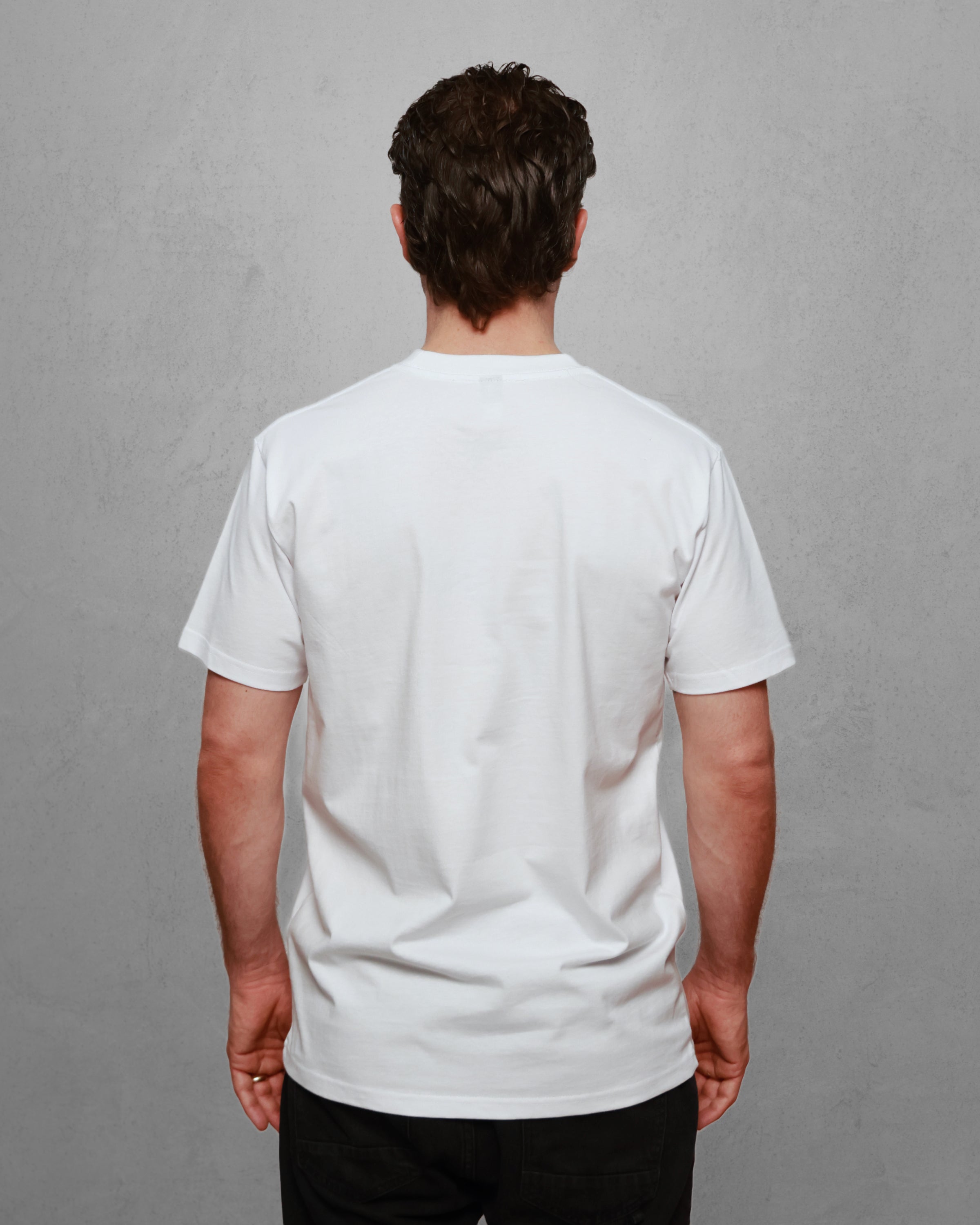 Wired Wren Mens Tee